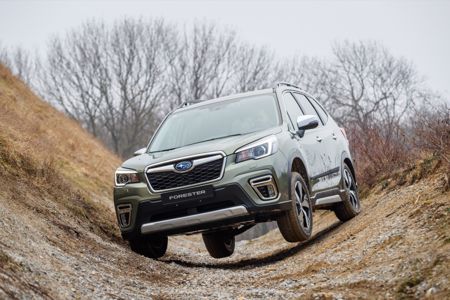 NOVINKA !!!  SUBARU Forester MR 2020  e-Boxer !!! + ' ' + <p class="s-align-center">Nabízíme nový model SUBARU Forester MHEV 2,0 CVT k dodání prosince - leden 2019</p><p class="s-align-center">výbava Tend, Active, Comfort, Executive  ....... více informací na tel. 608 442 000.</p><p class="s-align-center">test .....</p><p class="s-align-center"><span style="letter-spacing: 0px;"> https://auto-mania.cz/subaru-predstavuje-novy-hybrid-e-boxer-dostanou-ho-jako-prvni-forester-a-xv/</span><br></p> 